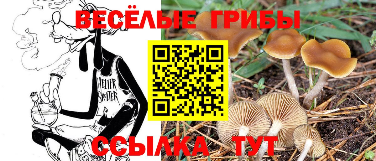 Псилоцибиновые грибы Magic Shrooms  Вход с VPN  Галлюциногенные грибы ЛСД  Саратов 